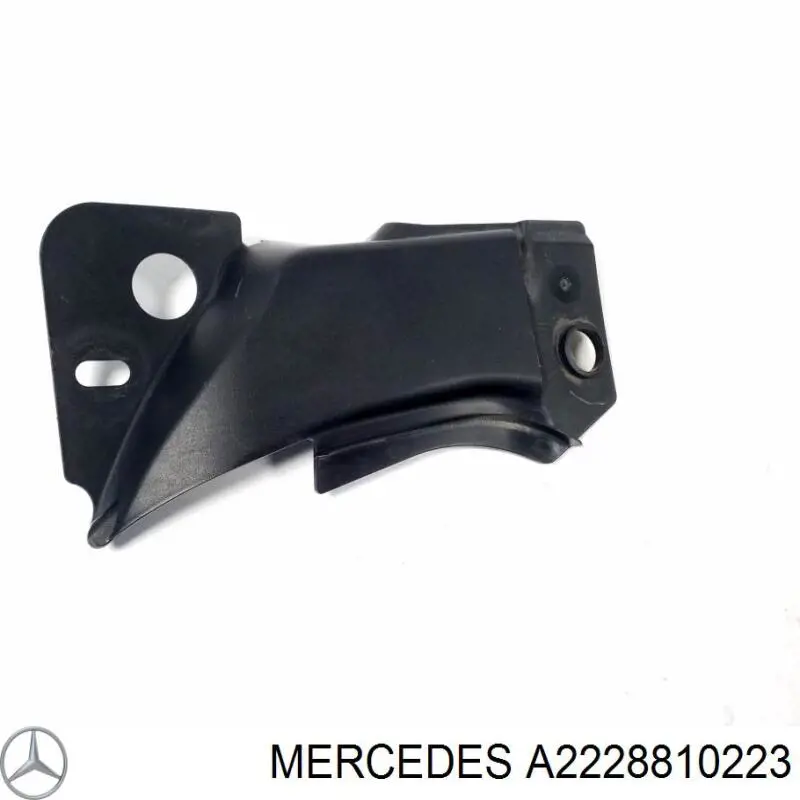 Купити A2228810223 Mercedes 
