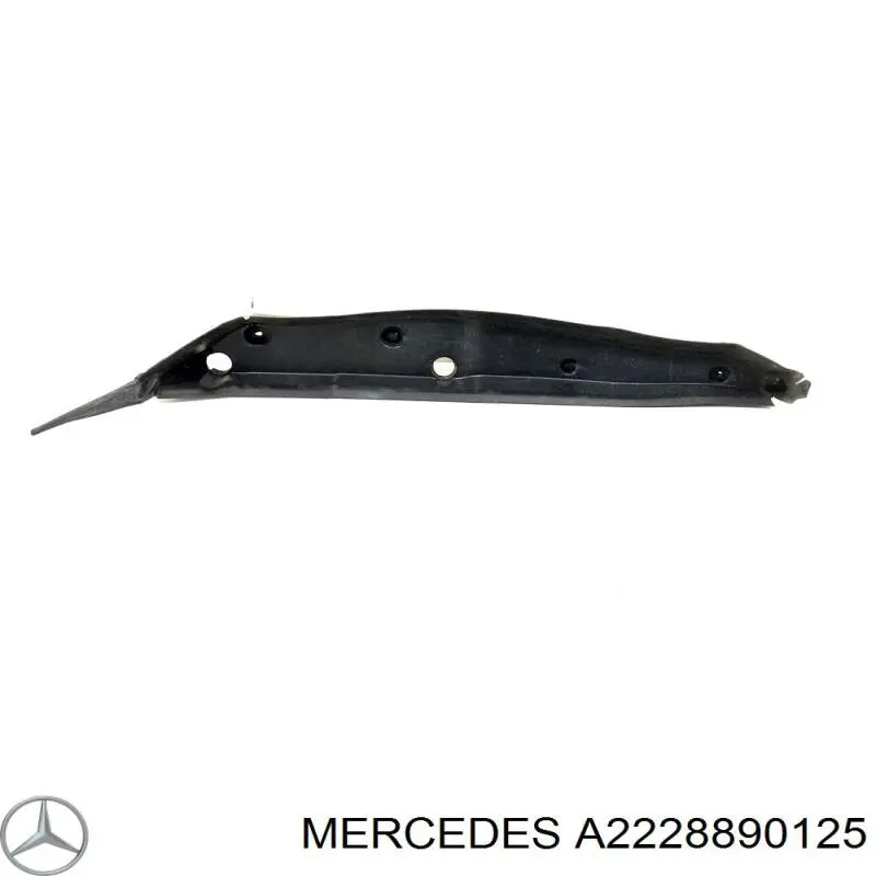  A2228890125 Mercedes