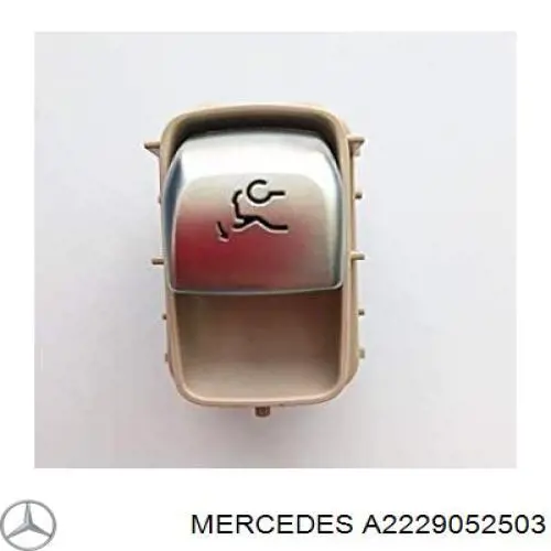 A2229052503 Mercedes 