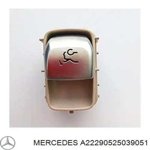 A22290525039051 Mercedes 