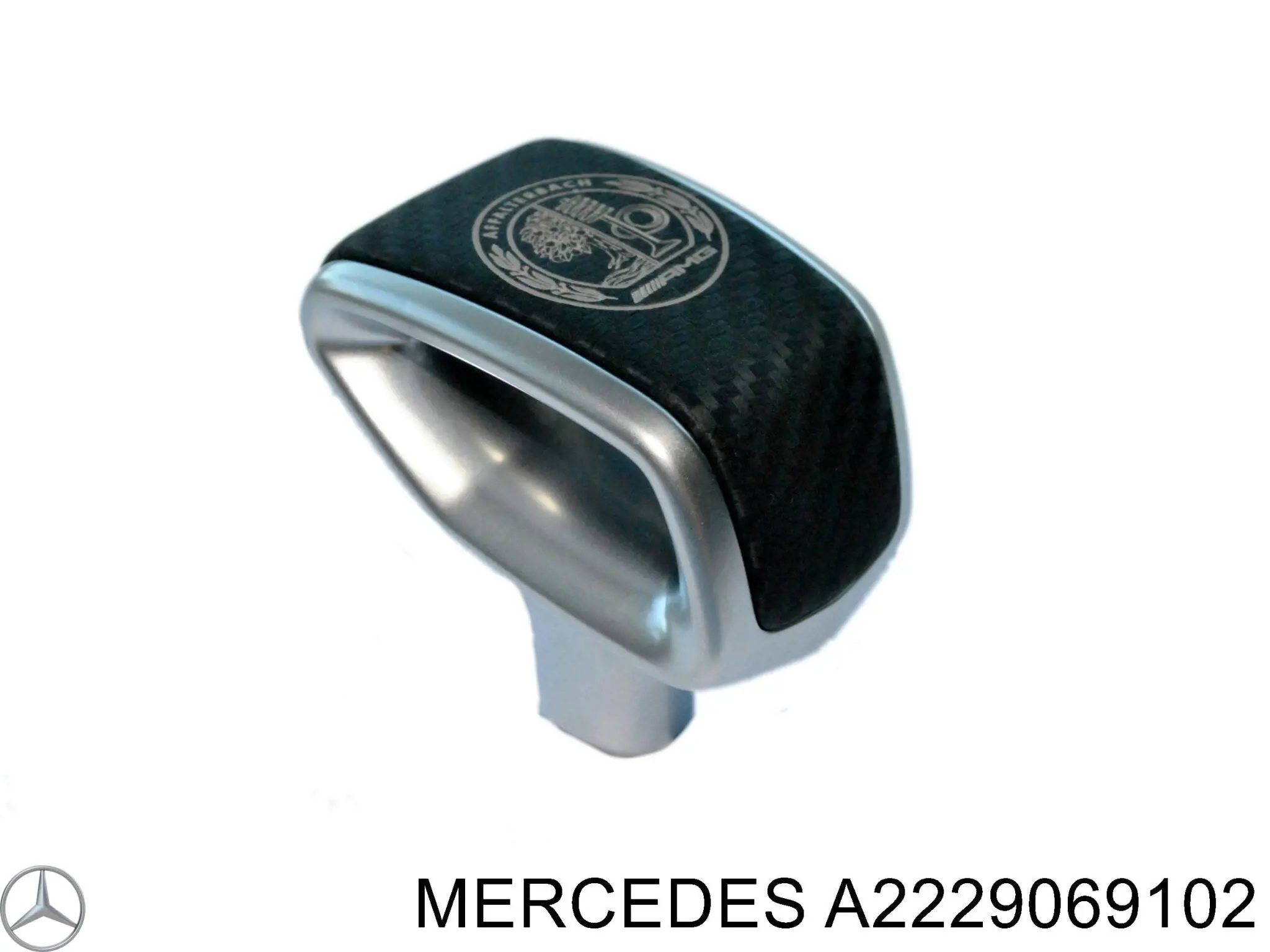  A2229069102 Mercedes