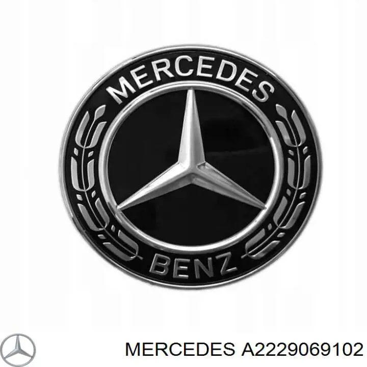 A2229069102 Mercedes 