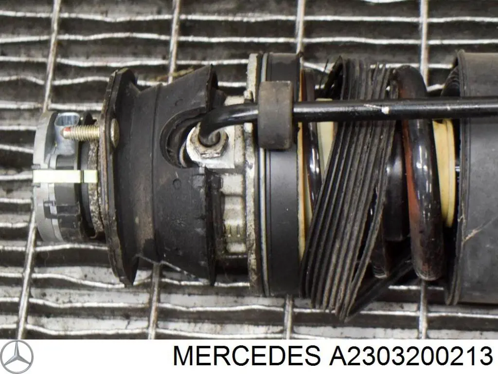 Купити A2303200213 Mercedes Амортизатор задній, лівий