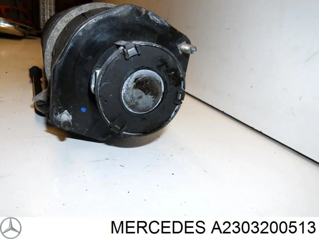 Купити A2303200513 Mercedes Амортизатор задній, правий