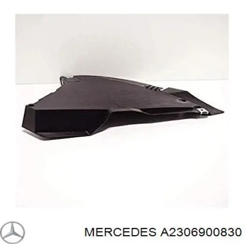 A2306900830 Mercedes Підкрилок переднього крила, лівий передній