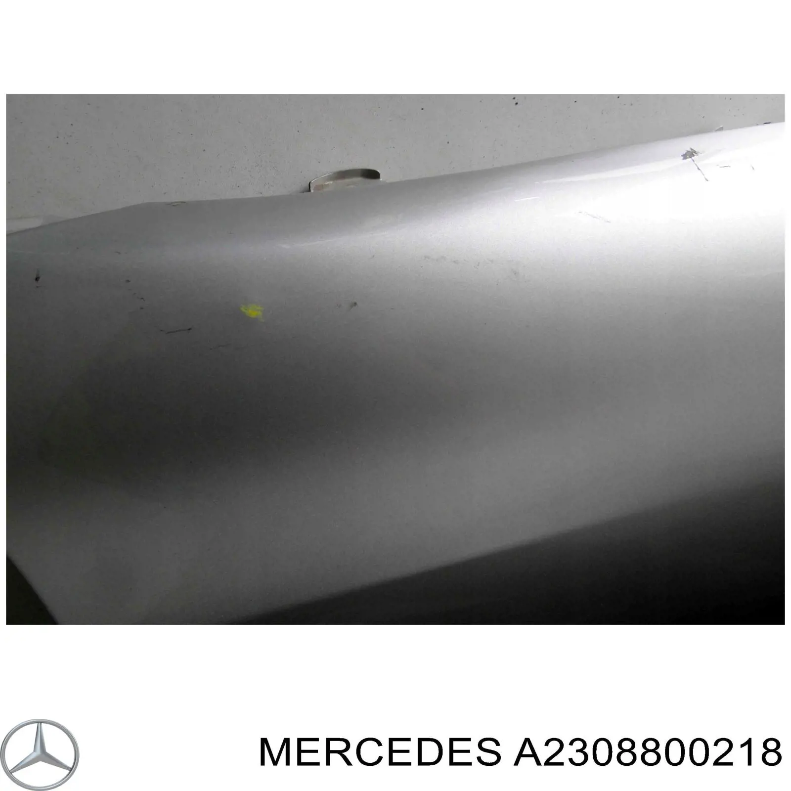 Купити A2308800218 Mercedes Крила