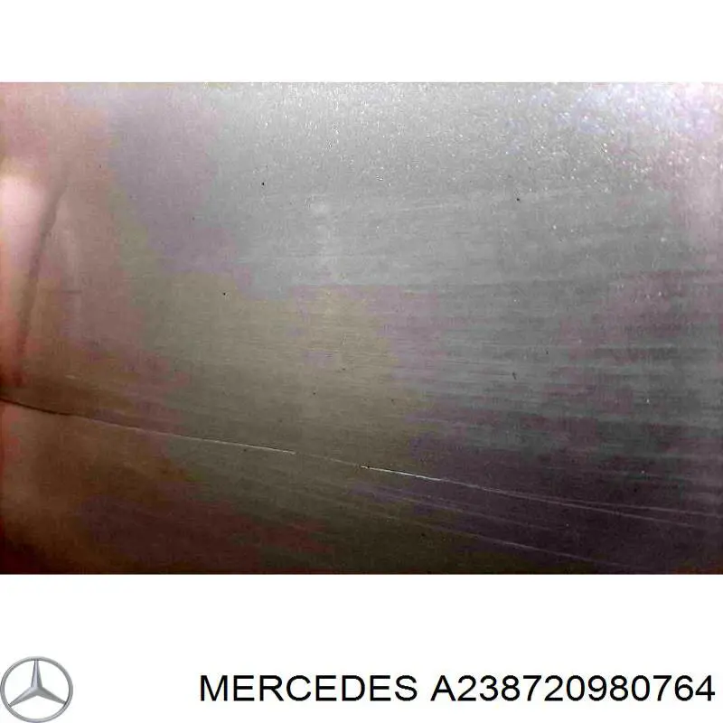 A2387209807 Mercedes Пасажирські передні двері