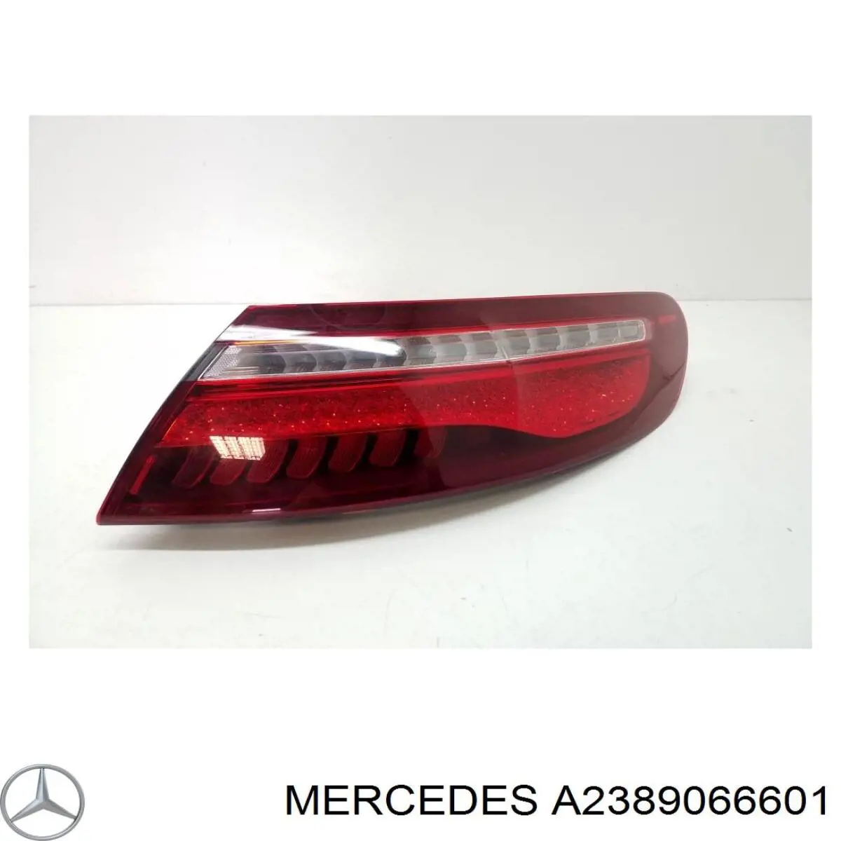  A2389066601 Mercedes