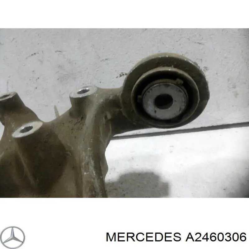 Купити A2460306 Mercedes Цапфа ліва