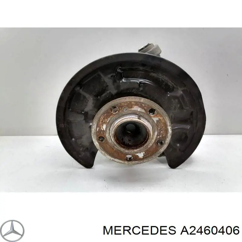 A2460406 Mercedes 
