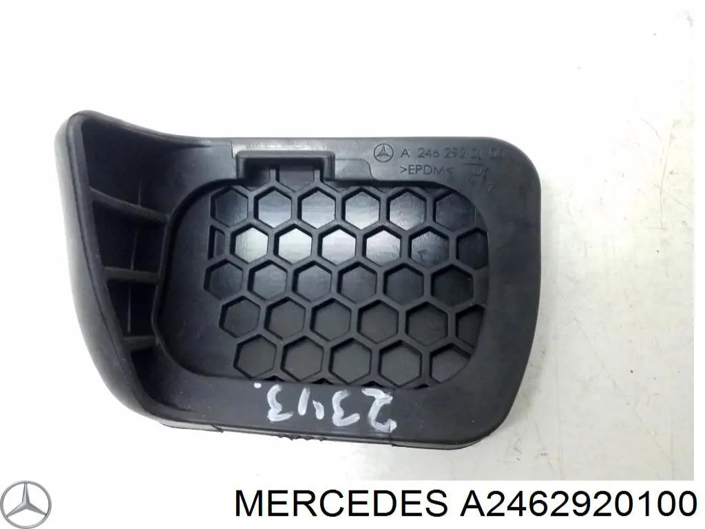  A2462920100 Mercedes