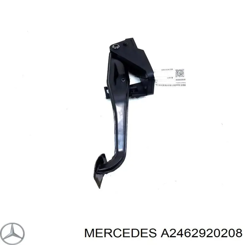  A2462920208 Mercedes