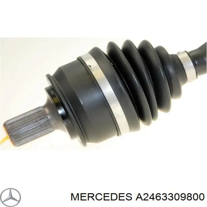  A2463309800 Mercedes