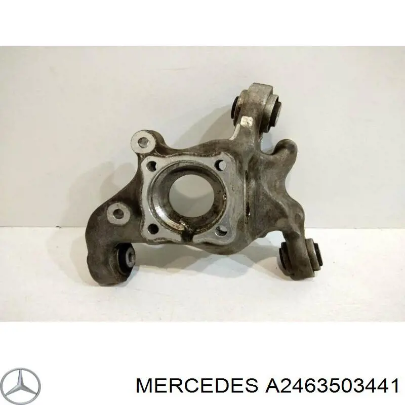 A2463503441 Mercedes Цапфа поворотна права