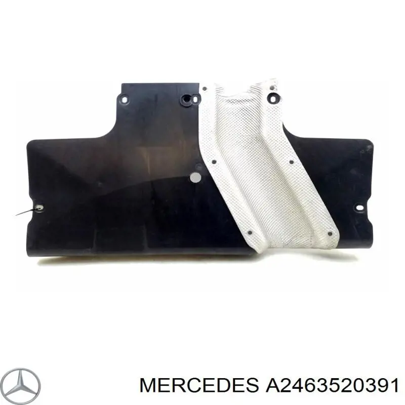 Купити A2463520391 Mercedes 