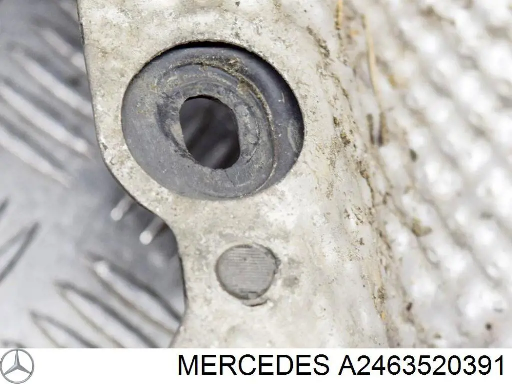  Mercedes A2463520391