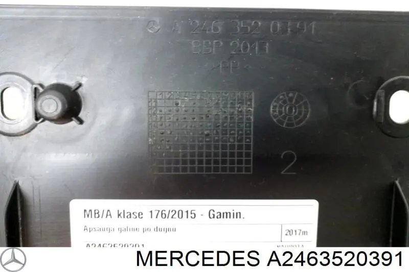 Купити A2463520391 Mercedes 
