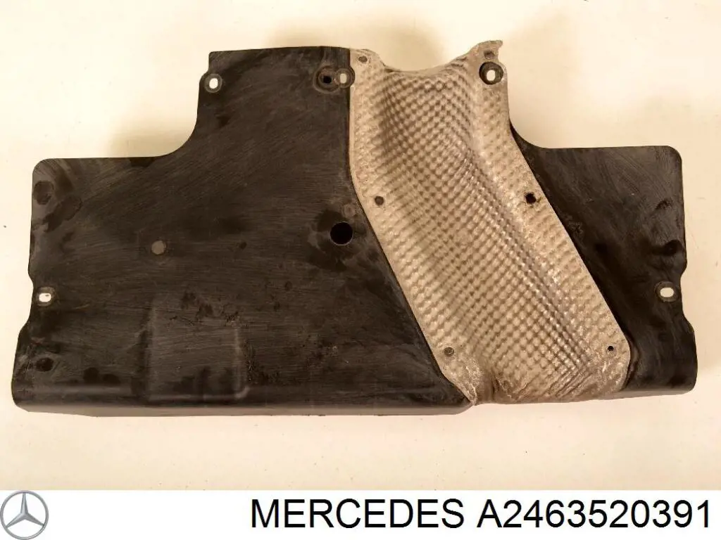 A2463520391 Mercedes 