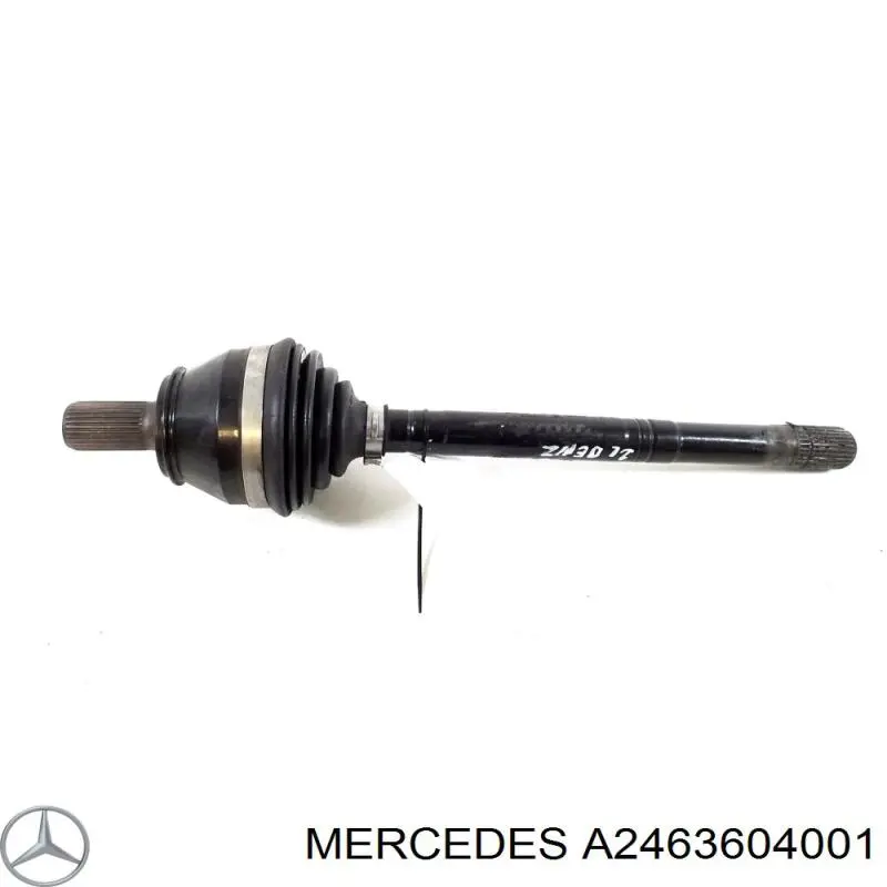 Купити A2463604001 Mercedes Шарнір приводу зовнішній