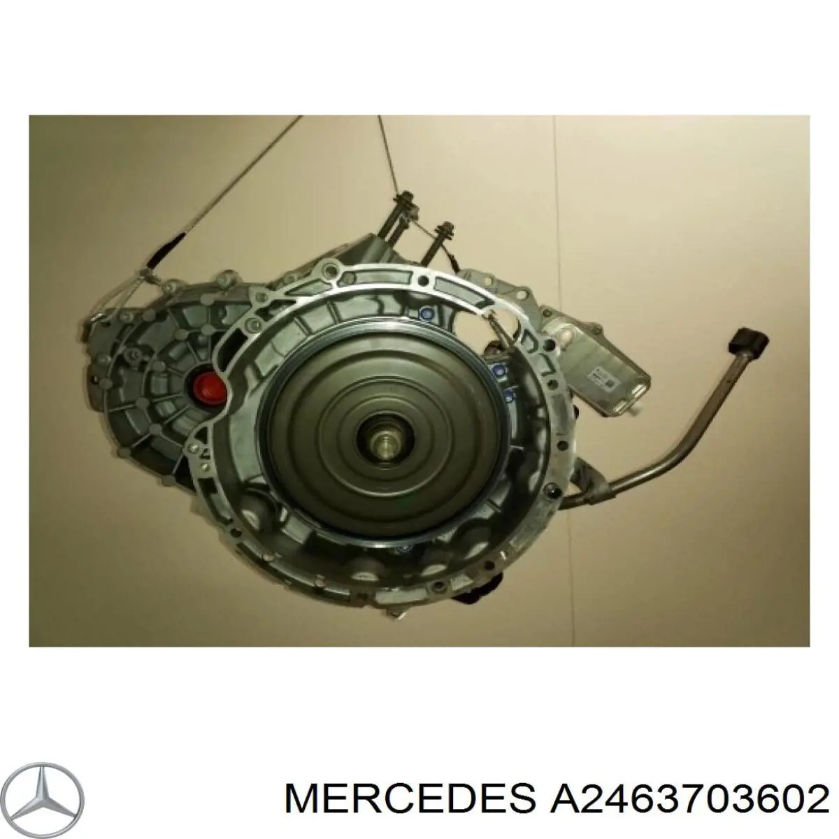 Купити A2463703602 Mercedes 