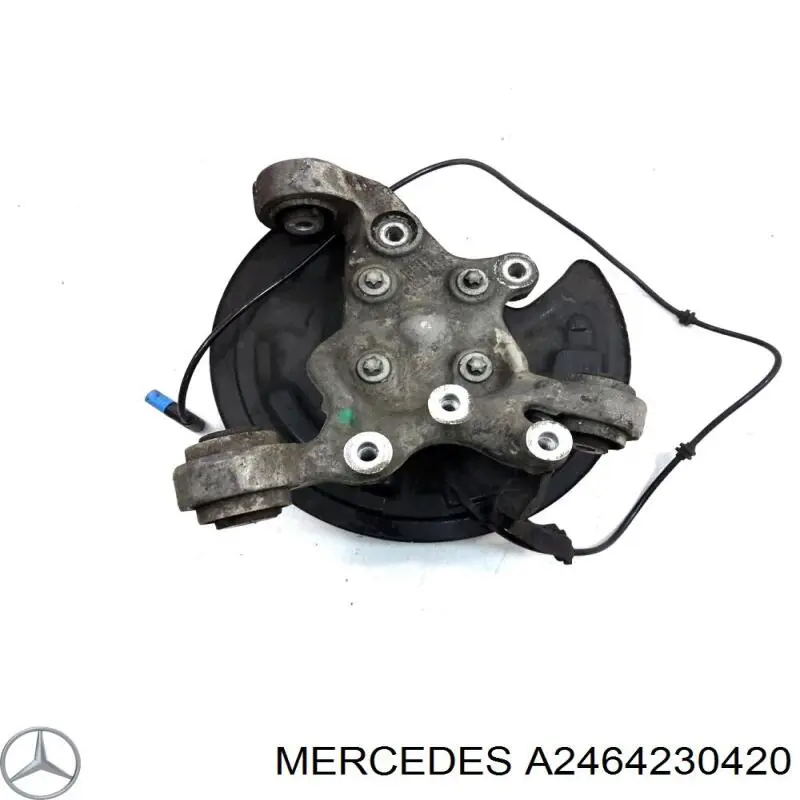 Купити A2464230420 Mercedes Захист гальмівного диска заднього, лівого