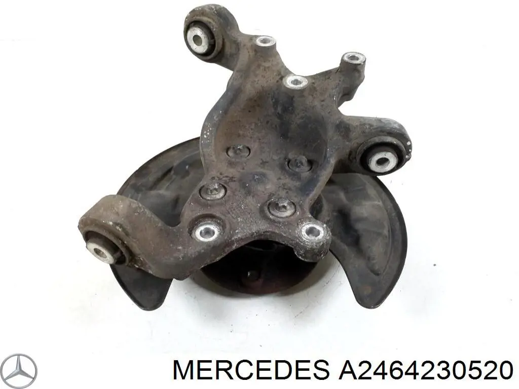 Купити A2464230520 Mercedes Захист гальмівного диска заднього, правого