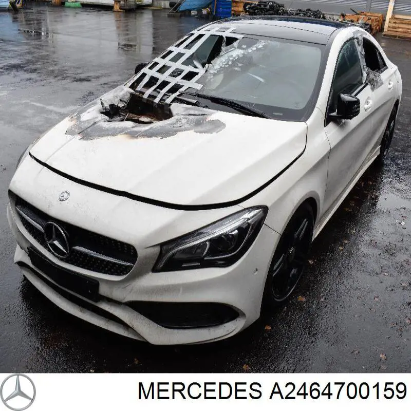 A2464702900 Mercedes Фільтр бака паливних парів