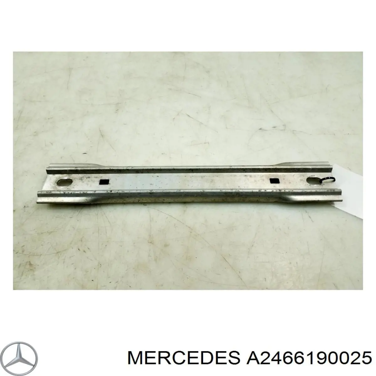 A2466190025 Mercedes 