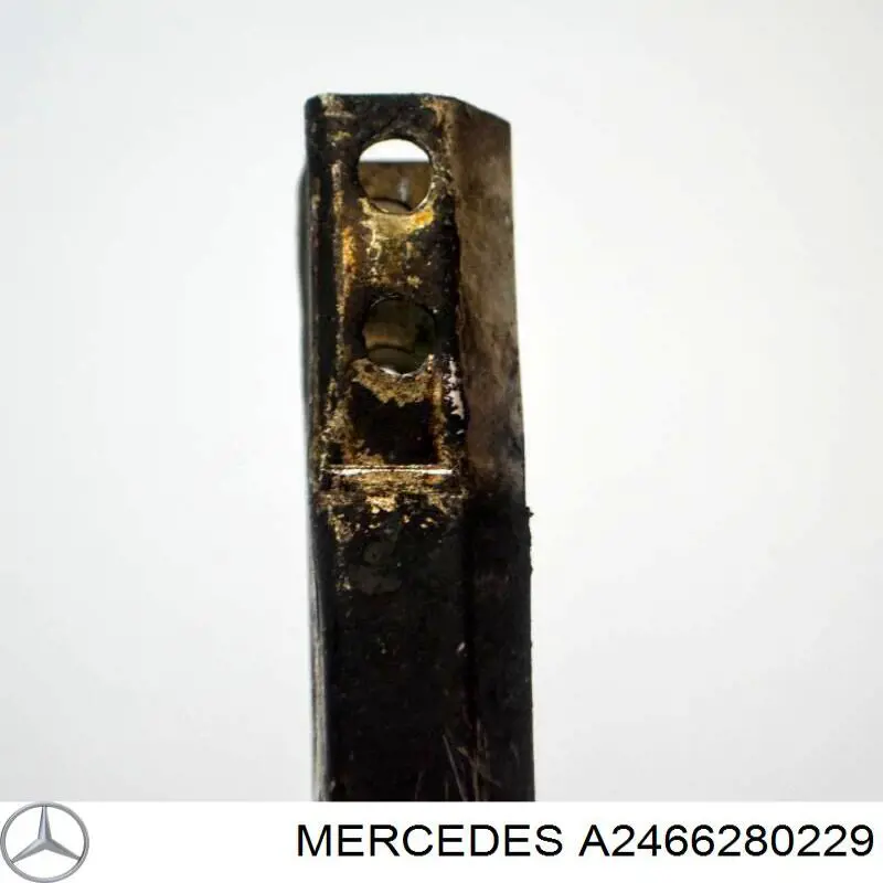  A2466280229 Mercedes