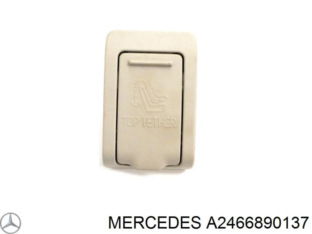 Купити A2466890137 Mercedes 