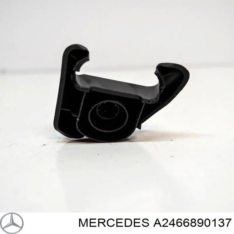  A2466890137 Mercedes