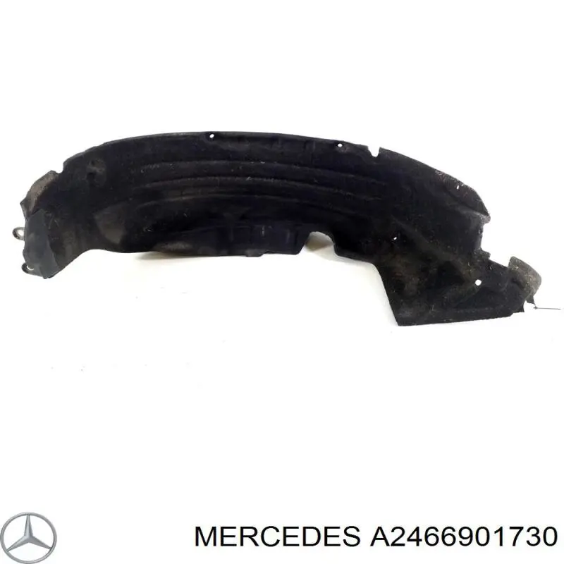 A2466901530 Mercedes 