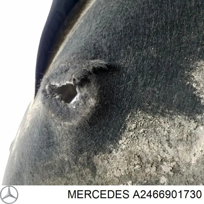 Купити A2466901530 Mercedes 