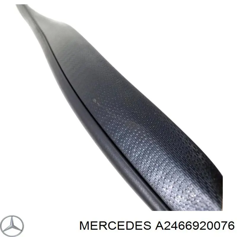 A2466920076 Mercedes 