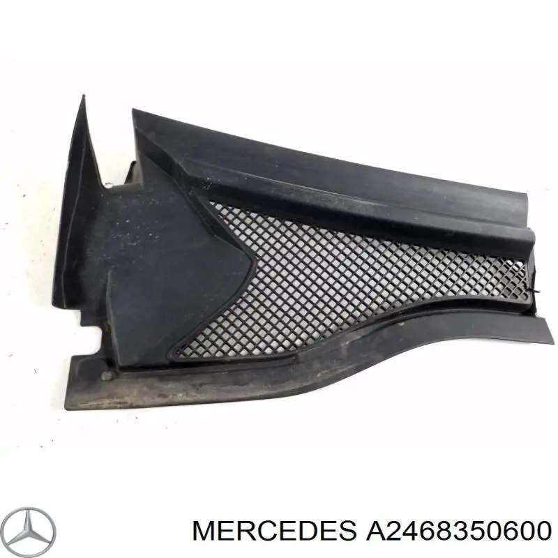 Водостік лобового скла, жабо Mercedes A246835060005 ціна, від 29.29 USD