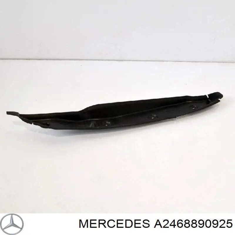Купити A2468890925 Mercedes 