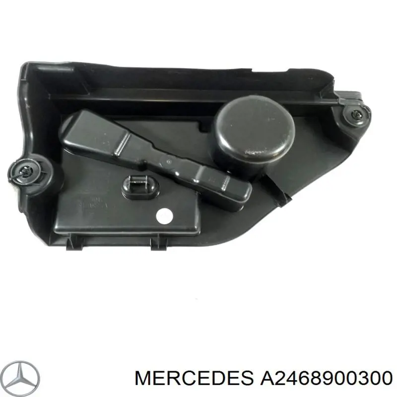 A2468900300 Mercedes 