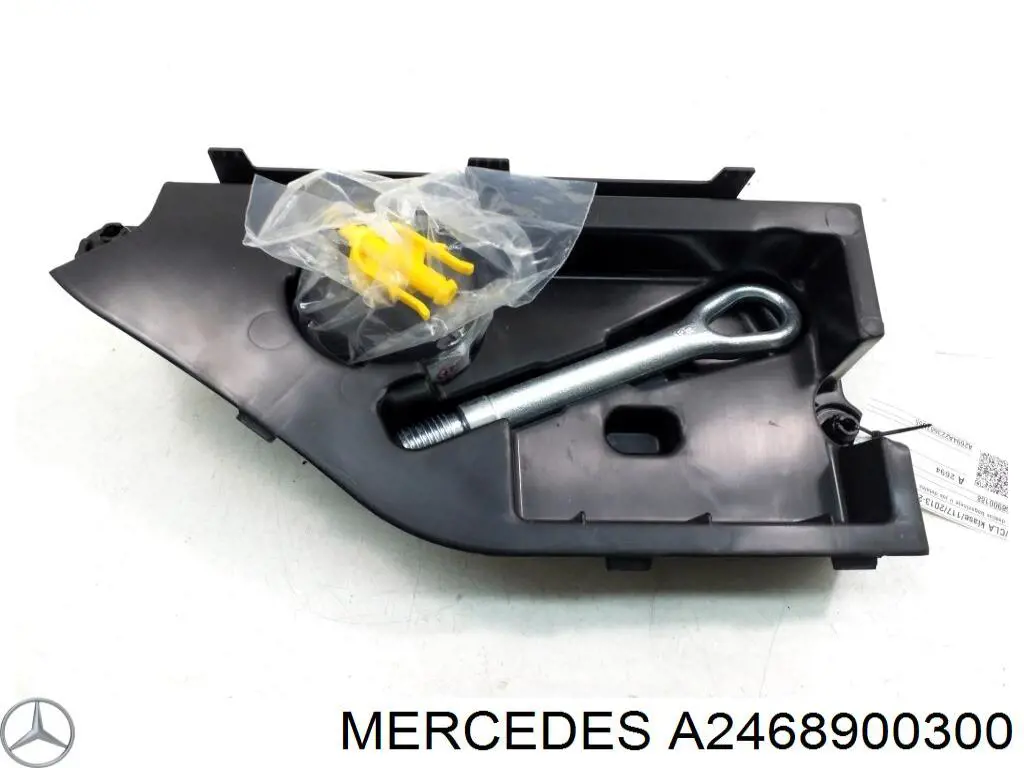 Купити A2468900300 Mercedes 