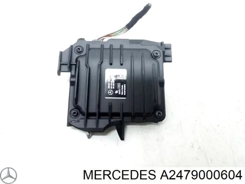 A2479000604 Mercedes 