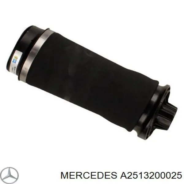 Пневморессора задня Mercedes A2513200025 ціна, від 105.30 USD