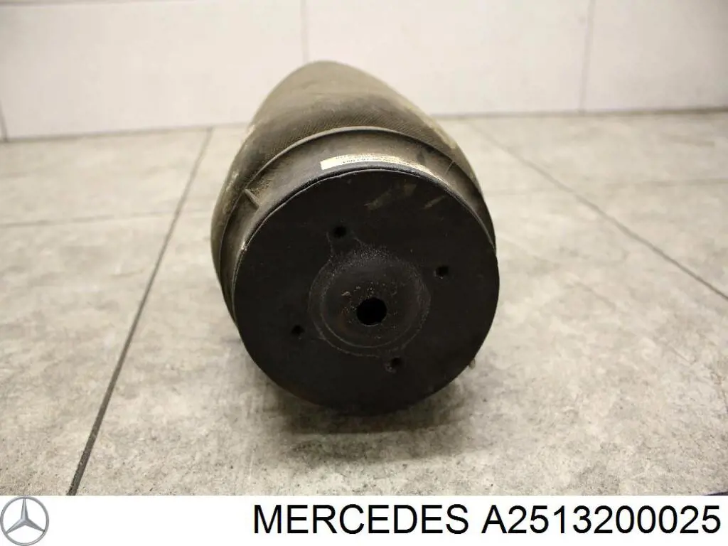 A2513200025 Mercedes Пневмоподушка/пневморессора моста заднього