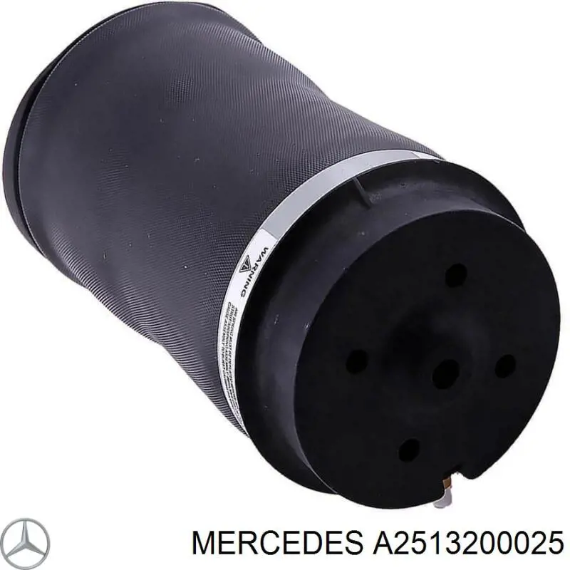 Купити A2513200025 Mercedes Пневмоподушка/Пневморессора моста заднього