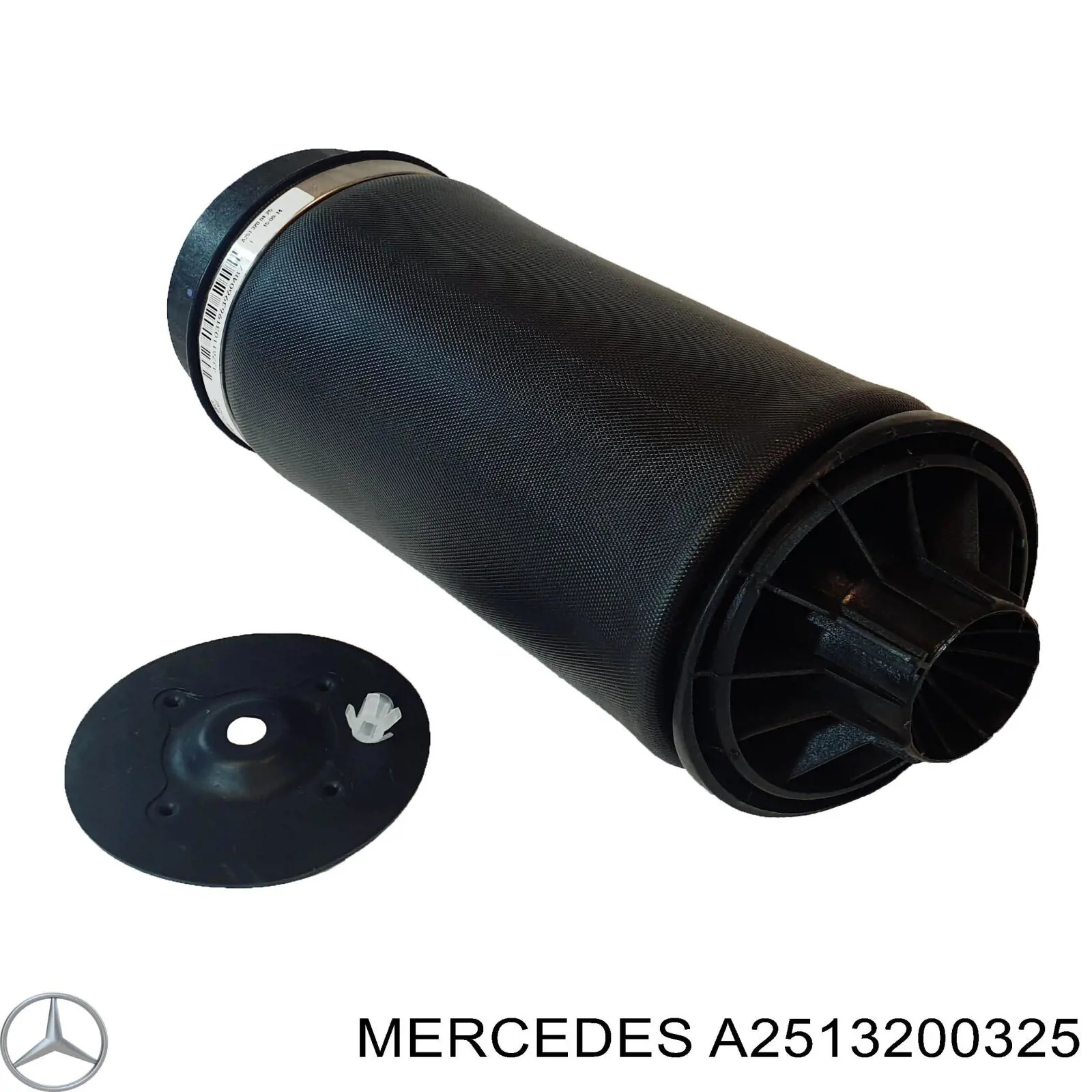 Пневморессора задня Mercedes A2513200325 ціна, від 105.21 USD