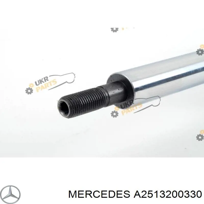 Купити A2513200330 Mercedes Амортизатор передньої підвіски