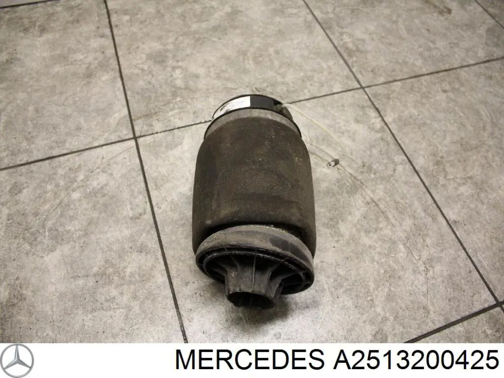 Пневморессора задня Mercedes A2513200425 ціна, від 111.74 USD