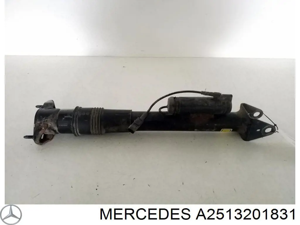 Амортизатор задній Mercedes A2513201831 ціна, від 233.36 USD