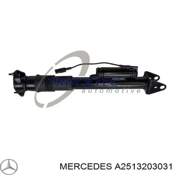 Амортизатор задній A2513203031 Mercedes
