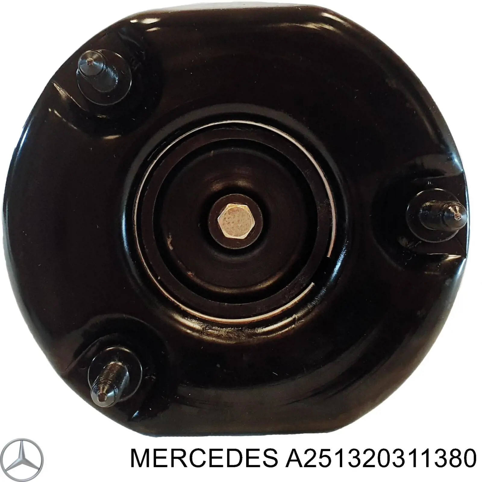 Амортизатор передній A251320311380 Mercedes