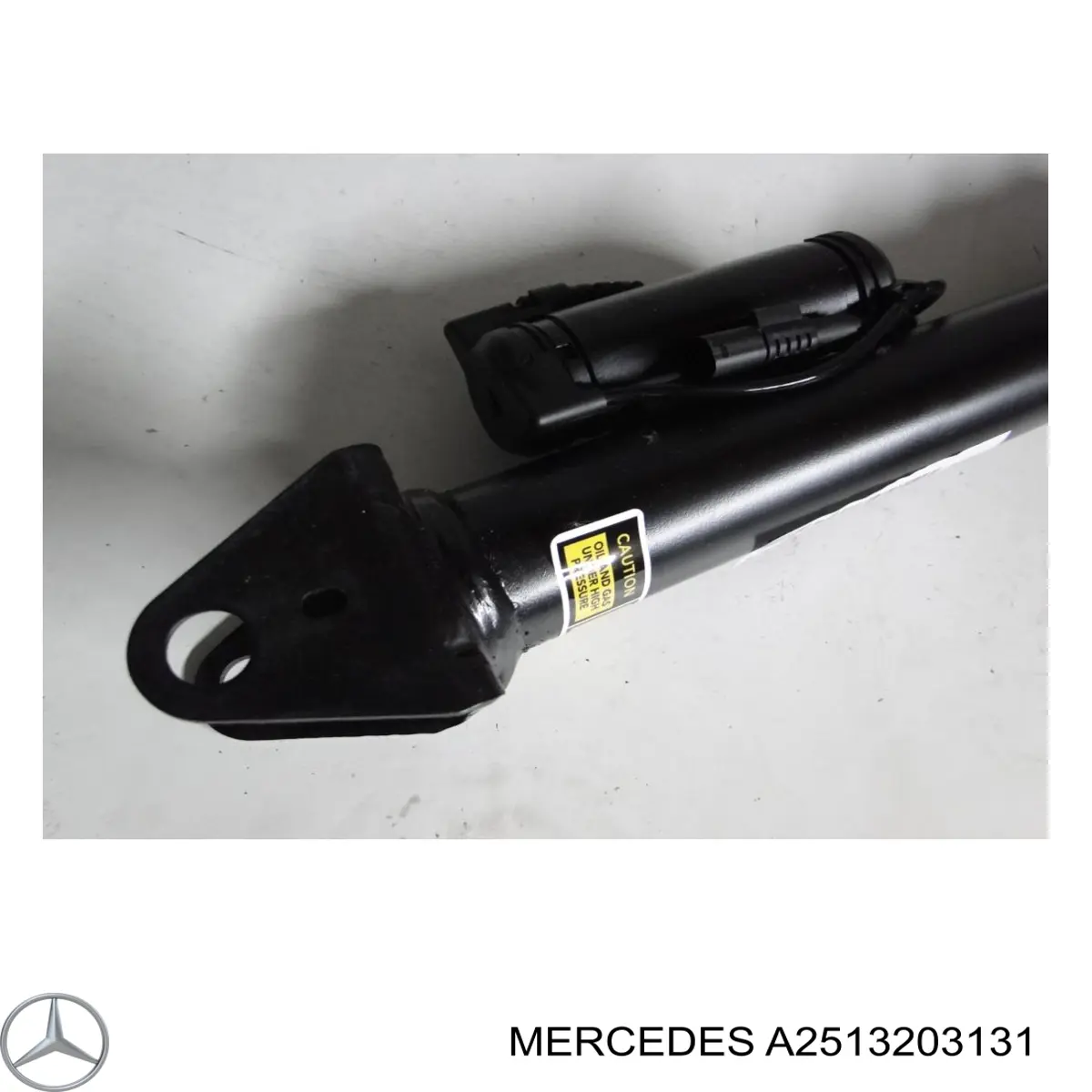 A2513203131 Mercedes Амортизатори задні