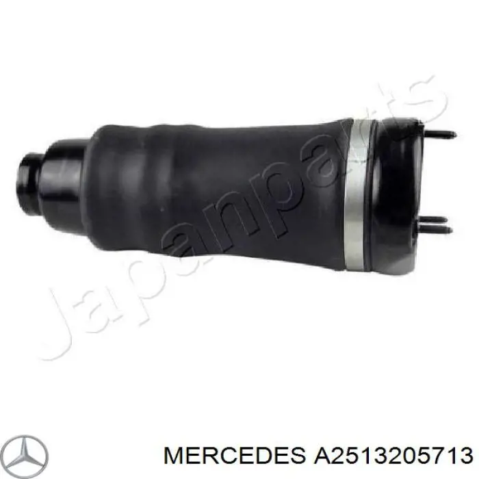 A2513205713 Mercedes Стійка передня
